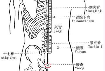     腰奇穴位于骶部,当尾骨端直上2寸,骶角之间凹陷中