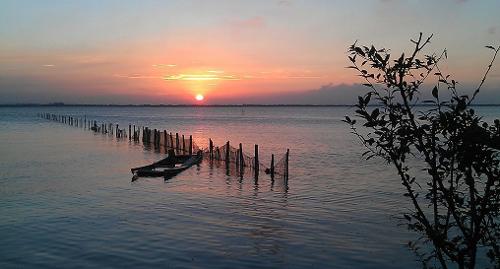 阳澄湖临近上海和苏州的阳澄湖,风景秀丽,环境优美.