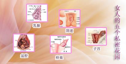 妇科检查须知