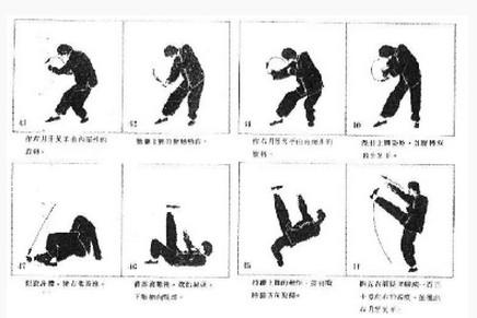 醉八仙拳