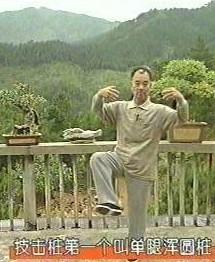 王安平_浑圆门宗师王安平先生传奇
