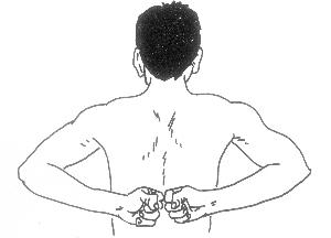 1寻找方法 取穴时常采用俯卧姿势,三焦俞穴位于腰部,当第一腰椎棘突