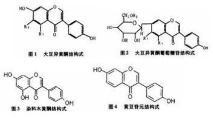 大豆异黄酮