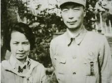 陈波儿