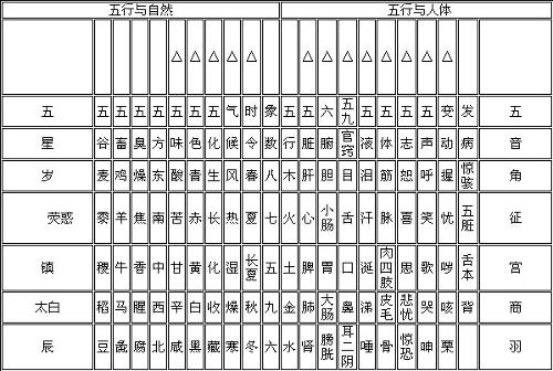 中医五行辨证综合疗法