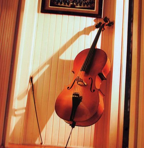大提琴(次中音或低音弦乐器)—搜狗百科