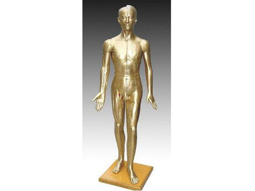 针灸排名_中医针灸图片(2)