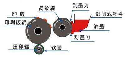 柔性版印刷图-上海金硕