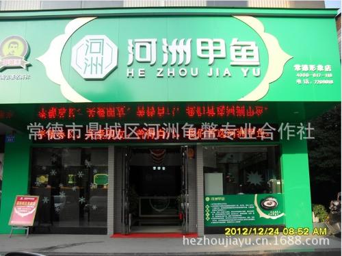 野生甲鱼 图片钓野生甲鱼工具图片野生团鱼图片