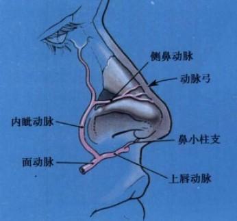 一种发展缓慢的鼻腔萎缩性炎症,其特征为鼻腔粘膜,骨膜和骨质发生萎缩