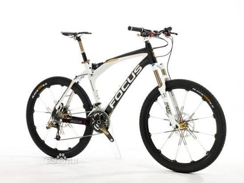 focus自行车图片