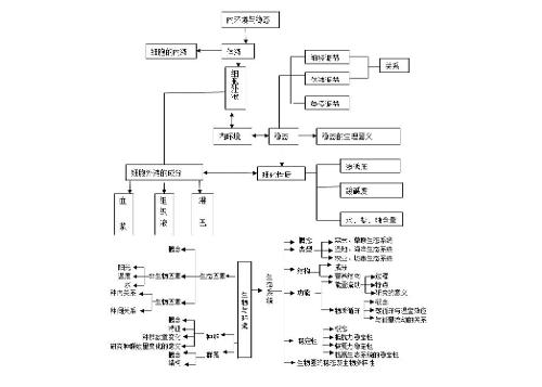 内环境稳态