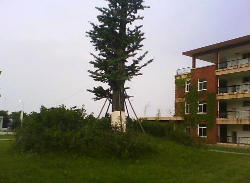 西南财经大学天府学院