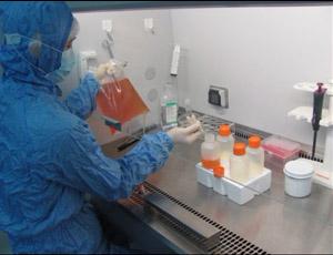 dc-cik生物免疫疗法