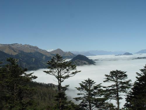 鸡冠山森林公园