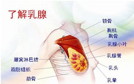 乳房胀痛