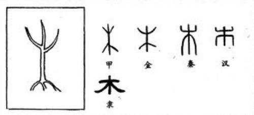内容是通过列举汉字几种主要字体中的一些字例,并对《汉字演变五百例