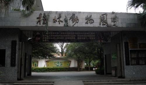 桂林动物园位于桂林七星公园内的骆驼山后山,是桂林唯一的专业动物园.