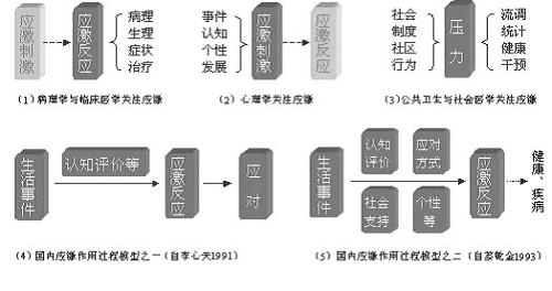 应激源