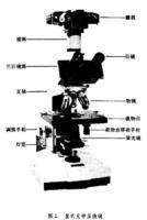 光学显微镜+-+搜搜百科
