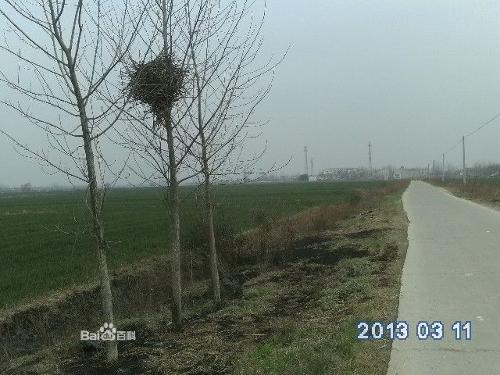 湖北省襄阳市襄州区黄集镇62116部队,都通哪