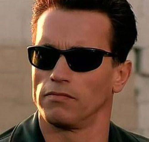 1987 predator(铁血战士) 也被称为铁血战士2,因为前一部commando被译