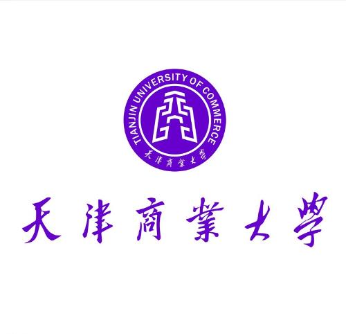 天津商业大学毕业论文格式范文最新标准