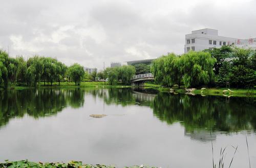 武汉工程大学