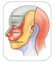 眶上神经痛