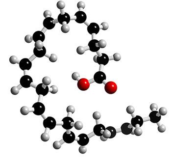 二十二碳六烯酸-百科