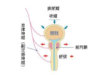 <em>排尿疼痛</em>+-+搜搜百科