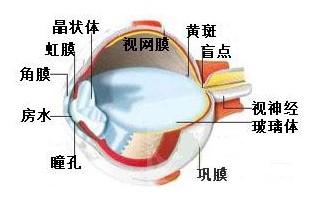 巩膜炎用什么眼药水