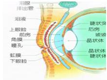 眼眶骨膜炎