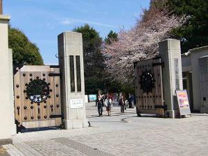 日本东京大学的邮编是什么