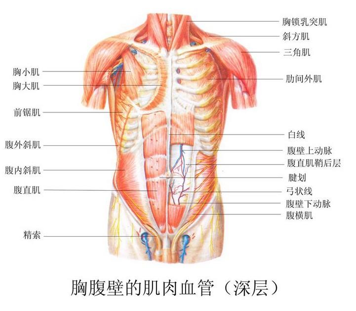 部位图