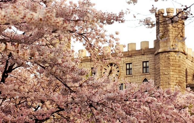 韩国庆熙大学