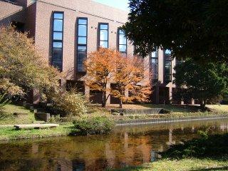筑波大学