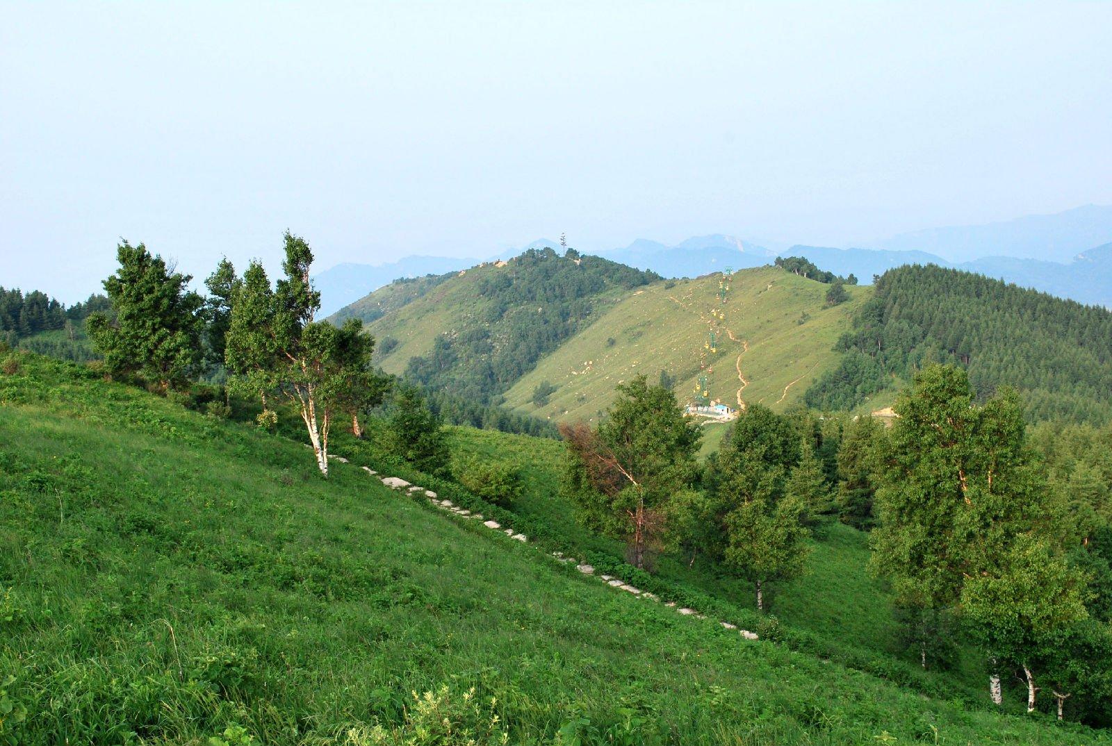 百草岭