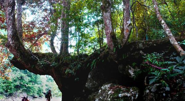 神龙谷风景旅游区