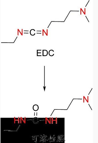 可溶于水的碳二亚胺 edc 每天都随身携带的物品简称 二氯乙烷 企业级