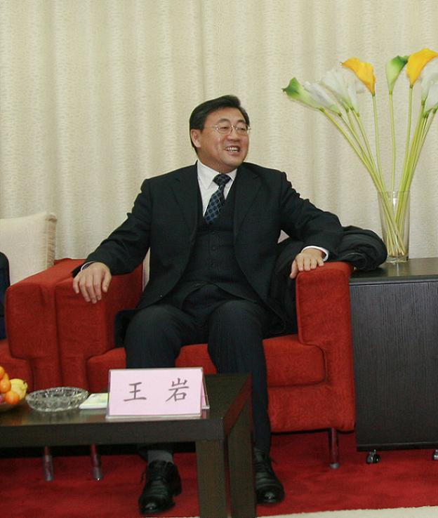 王岩,男,吉林桦甸人,历任职于共青团吉林省委,吉林省国际信托投资
