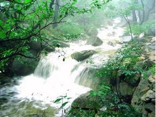 山东新泰莲花山