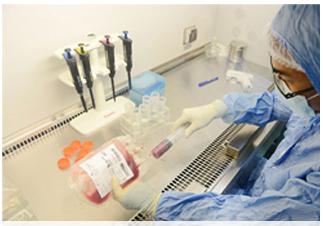 生物免疫疗法+-+搜搜百科