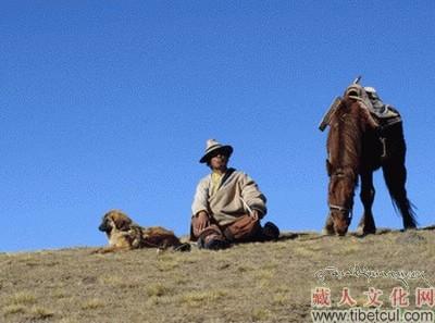 《莫哇帕洛》由青海电视台藏语中心根据藏族民间故事《猪头卦师》主创