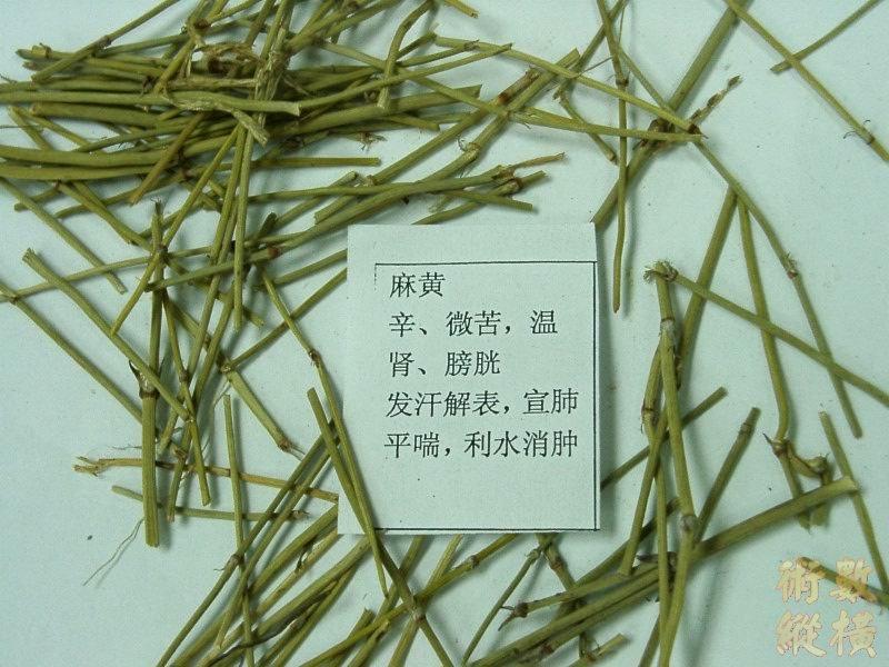 麻黄碱中毒