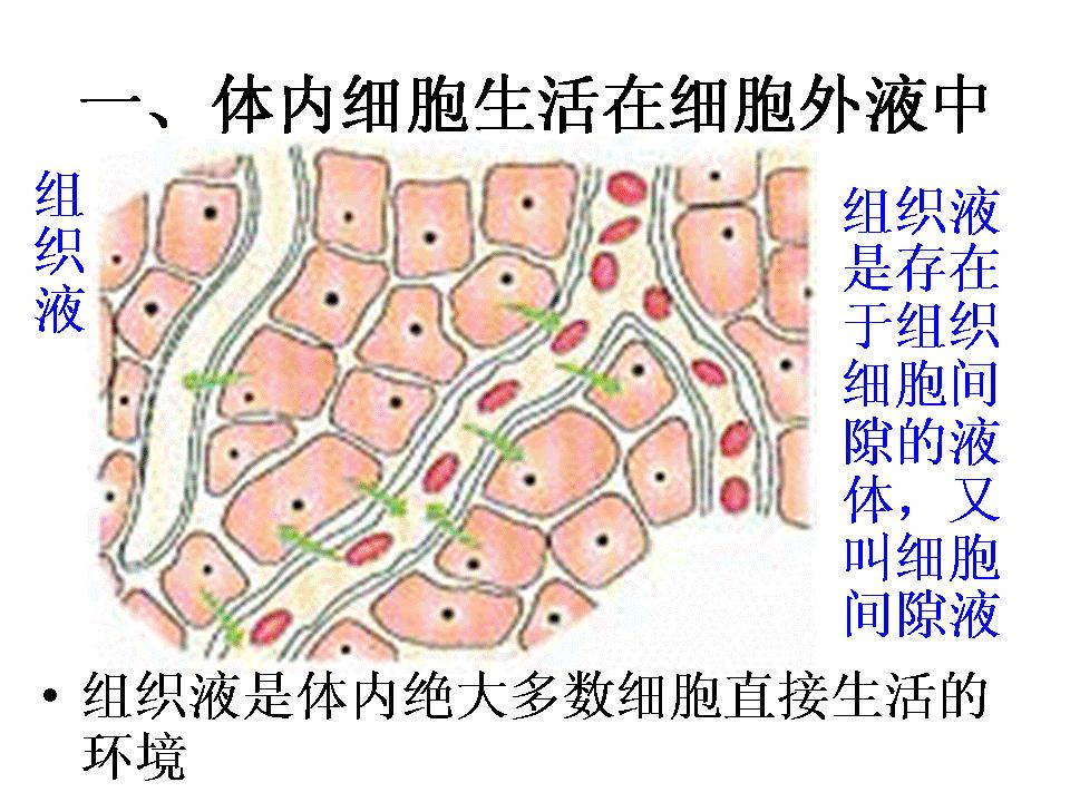 2016-2022年中国体液处理设备市场深度调研及投资前景分析报告