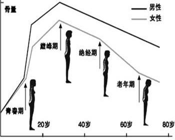 全部版本 历史版本 摘要 骨量是指:单位体积内,骨组织[骨矿物质(钙