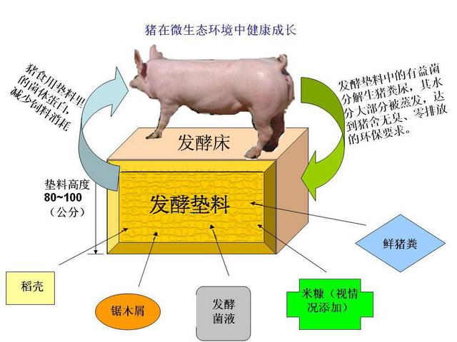 发酵剂的原理_哪种发酵剂可以发酵牧草喂羊