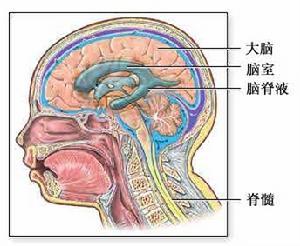 脑脊液压力