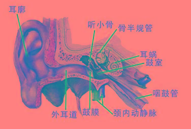 耳鼓膜穿孔